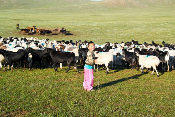 4 11 2 Монголия: Кому в степи жить хорошо?