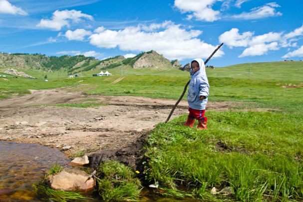 DSC 0572 Монголия: Кому в степи жить хорошо?