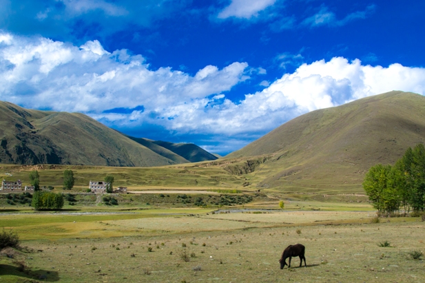 1DSC 0001 600 Наш путь к тибетцам (часть 2): Кандинг   Литанг