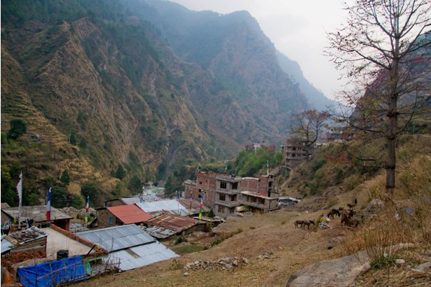 DSC 0009 Трек в Лангтанг (часть 1): Kathmandu   Shyaphrupesi   Lama Hotel