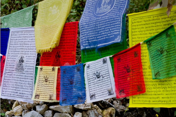 DSC 07481 Дарамсала и Маклеод Ганж: кусочек Тибета в Индии