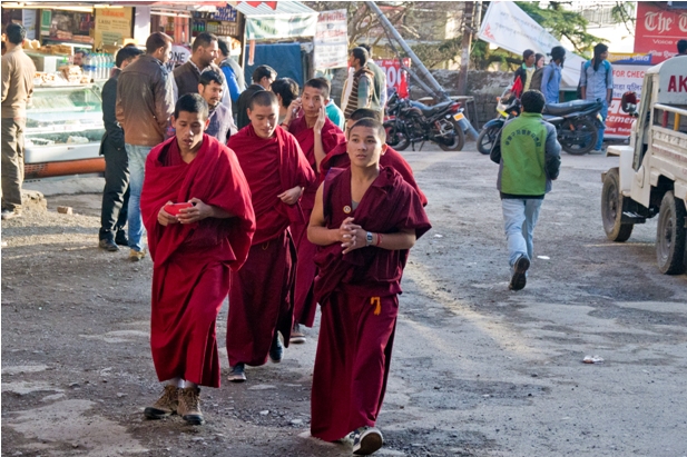 DSC 0778 Дарамсала и Маклеод Ганж: кусочек Тибета в Индии